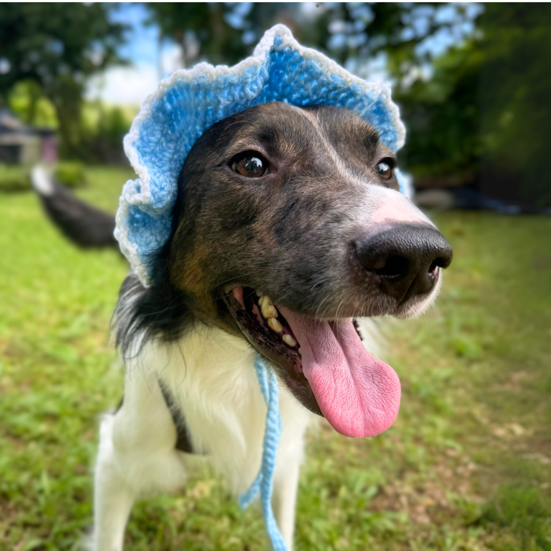 Boonie Bonnets